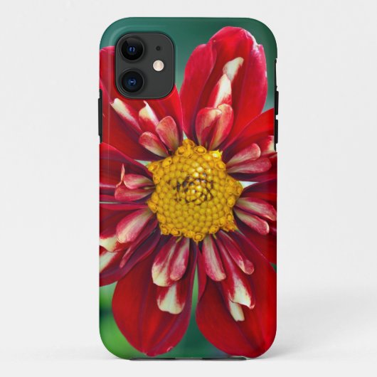 美しい赤いダリアプリントの電話ケース Case-Mate iPhoneケース (裏面)