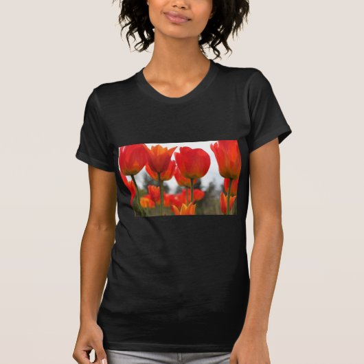 美しい赤いチューリップの花 Tシャツ (正面)