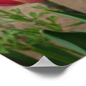 美しい赤いチューリップ花園ポスター ポスター (角)