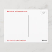 美しい赤いトンボはがき ポストカード (裏面)