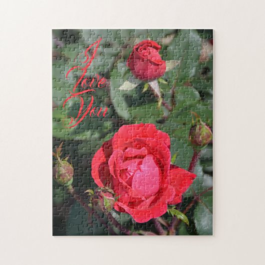 美しい赤いバラとバラの花芽の写真 ジグソーパズル (縦)