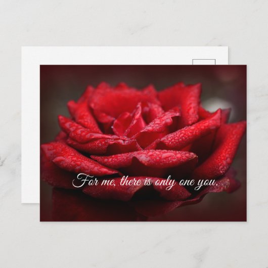 美しい赤いバラのはがき |カスタマイズ可能なメッセージ ポストカード (正面/裏面)