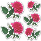 美しい赤いバラの写真透明CC1145 シール (正面)