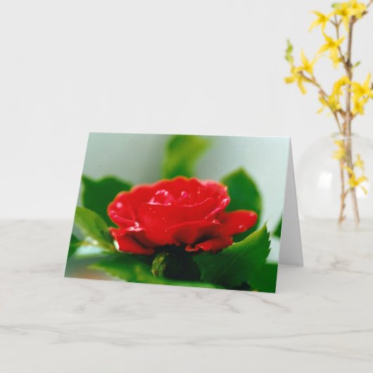 美しい赤いバラの朝露の滴 カード (黄色い花)