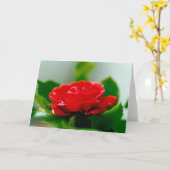 美しい赤いバラの朝露の雫 カード (黄色い花)