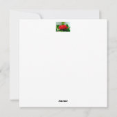 美しい赤いバラの朝露の雫 シーズンカード (裏面)