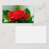 美しい赤いバラの朝露の雫 ノートカード (正面/裏面)