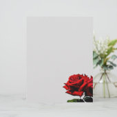 美しい赤いバラの自然の花 (スタンド正面)