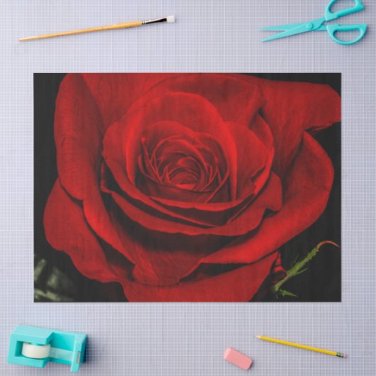 美しい赤いバラの花の花柄の写真 薄葉紙 (クラフト)