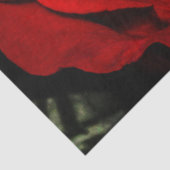 美しい赤いバラの花の花柄の写真 薄葉紙 (詳細)