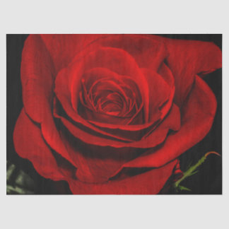 美しい赤いバラの花の花柄の写真 薄葉紙