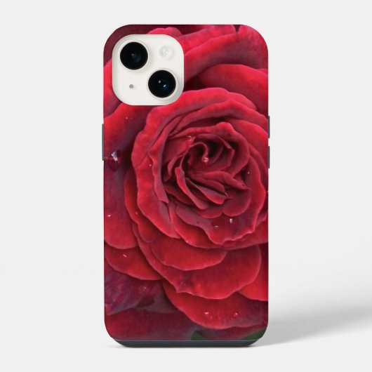 美しい赤いバラのiPhone 14ケース iPhoneケース (裏面)
