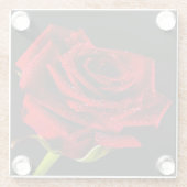 美しい赤いバラ ガラスコースター (裏面)