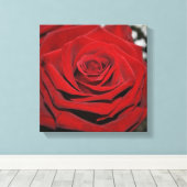 美しい赤いバラ キャンバスプリント (インサイチュ (ウッドフロア))