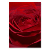 美しい赤いバラ テーブルナンバー (裏面)