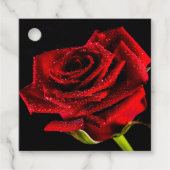 美しい赤いバラ フェイバータグ (正面)