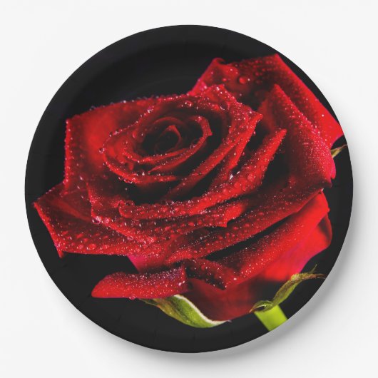美しい赤いバラ ペーパープレート (正面)