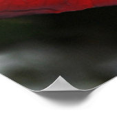 美しい赤いバラ ポスター (角)