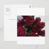 美しい赤いバラ ポストカード (正面/裏面)
