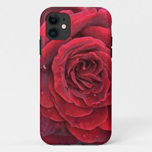 美しい赤いバラiphone 11ケース Case-Mate iPhoneケース (裏面)