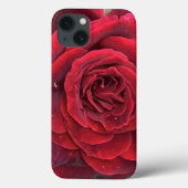 美しい赤いバラiphone 13ケース Case-Mate iPhoneケース (裏面)