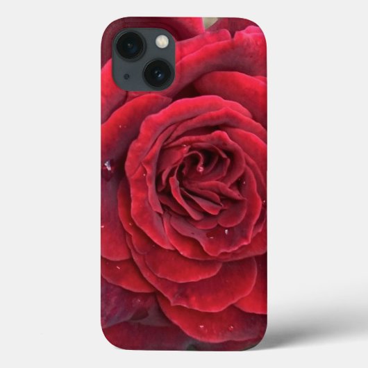 美しい赤いバラiphone 13ケース Case-Mate iPhoneケース (裏面)