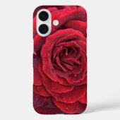 美しい赤いバラiphone 16ケース Case-Mate iPhoneケース (裏面)