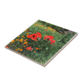 美しい赤いポピー   タイル (側面)