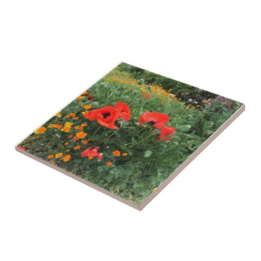 美しい赤いポピー タイル (側面)