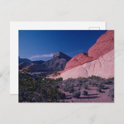 美しい赤いロックキャニオンネバダ風景はがき シーズンポストカード (正面/裏面)