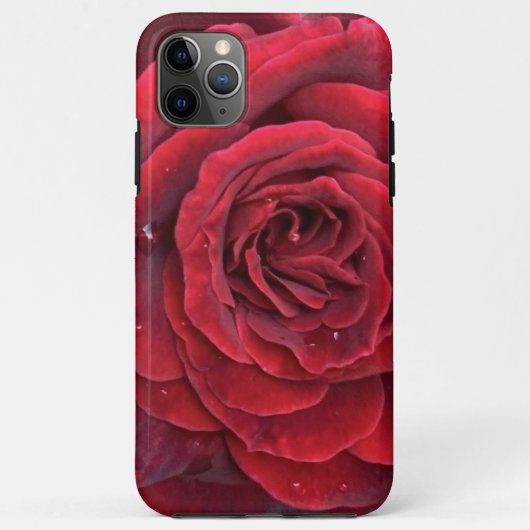 美しい赤いローズiphone 11 Pro最大タフケース Case-Mate iPhoneケース (裏面)