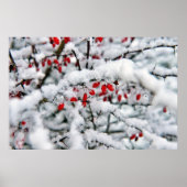 美しい赤い実と雪 ポスター (正面)
