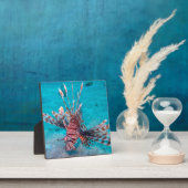 美しい赤い獅子魚 フォトプラーク (インサイチュ)