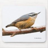 美しい赤い胸のヌサッチの鳴鳥 マウスパッド (正面)