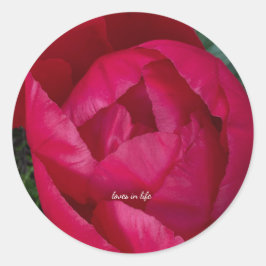 美しい赤い芍薬の花 ラウンドシール