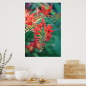 美しい赤い花のプリント# 6837 ポスター (キッチン)