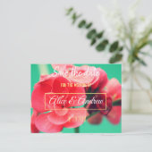 美しい赤い花の日付はがきを保存 案内ポストカード (スタンド正面)