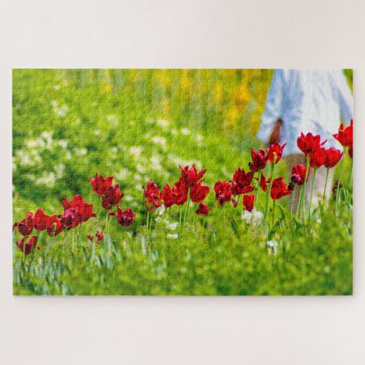 美しい赤い花、オランダ ジグソーパズル (横)