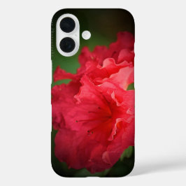 美しい赤い花*ケースメイトiPhoneケース iPhone 16ケース