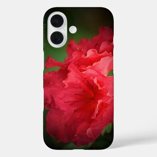 美しい赤い花*ケースメイトiPhoneケース Case-Mate iPhoneケース (裏面)