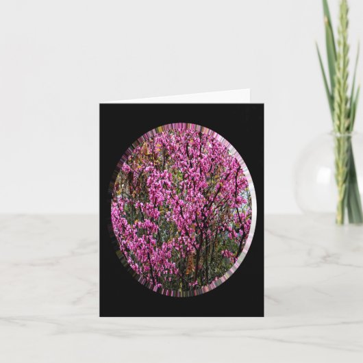 美しい赤い芽の木….. カード (正面)