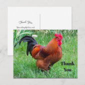 美しい赤い鶏のプロフィール写真 ありがとう ポストカード (正面/裏面)
