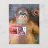 美しい赤ちゃんザズルファン ポストカード (正面)