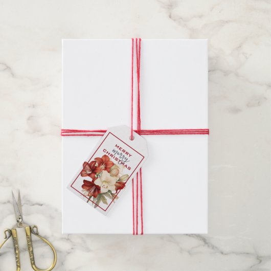 美しい赤と白のアマリリスの花クリスマス ギフトタグ (より糸付き)