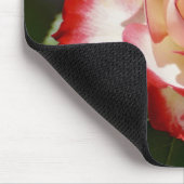 美しい赤と白バラ マウスパッド (コーナー)