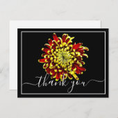 美しい赤と黄色の菊 ポストカード (正面/裏面)