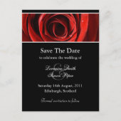 美しい赤のバラ日付はがきを保存 案内ポストカード (正面)