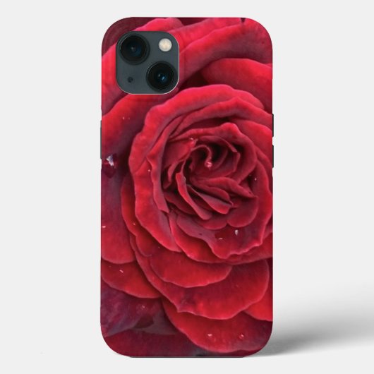 美しい赤のバラiphone 13タフケース Case-Mate iPhoneケース (裏面)