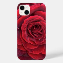 美しい赤のバラiphone 14プラス辛うじてそこに
