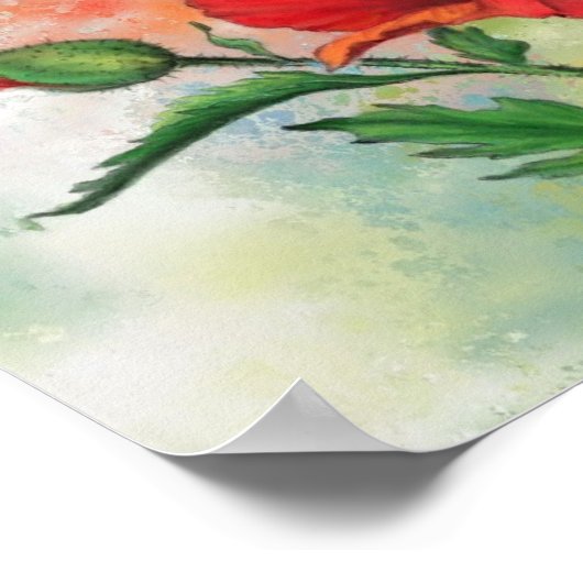 美しい赤の白のポピーのポスタ絵画ーマ ポスター (角)